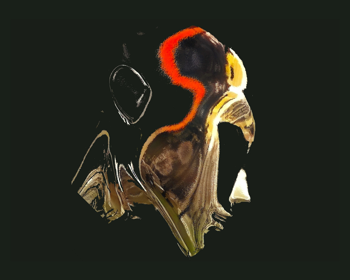 [Image]築地クラブ写真展「エモーションV」