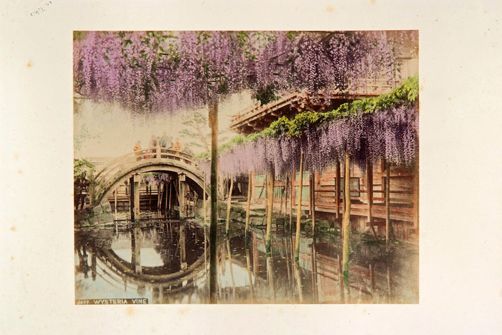 [image]幕末明治を写した記録写真　Photographs of the Late Edo / Early Meiji Period　～フジフイルム スクエア 写真歴史博物館 収蔵品より～