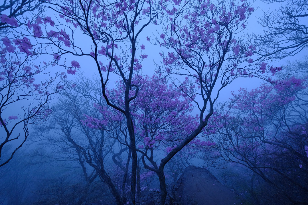 原澤康隆写真展「季の彩 赤城山」