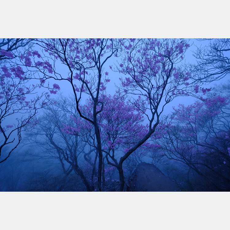 原澤康隆写真展「季の彩 赤城山」