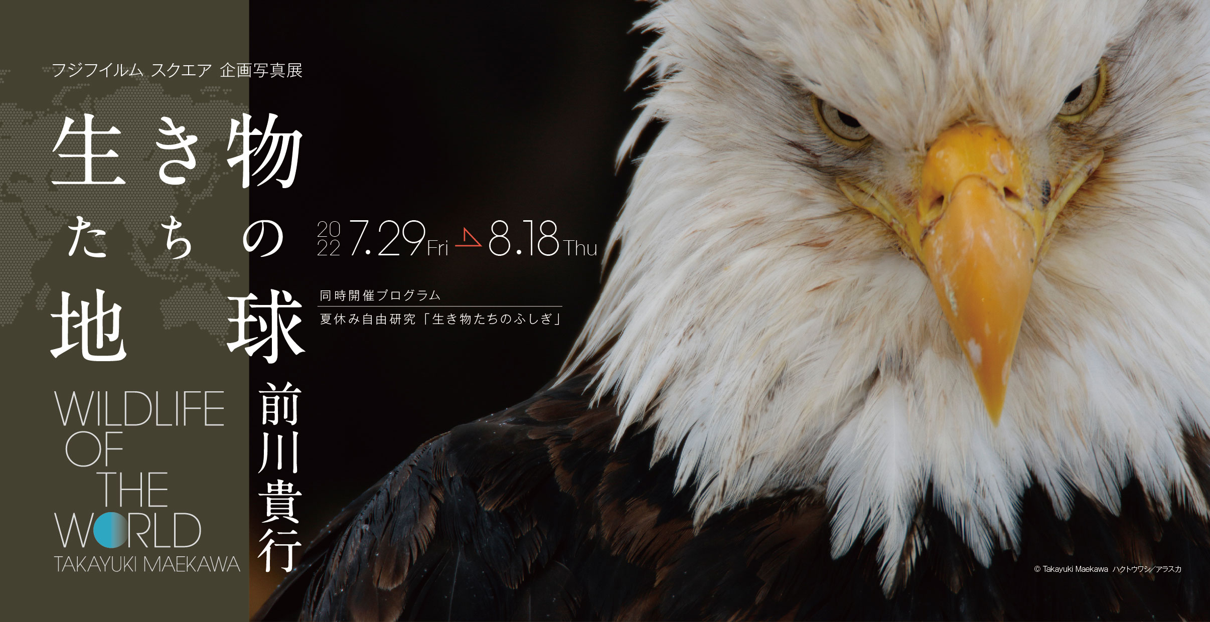 [image]「生き物たちの地球」　写真・文　前川貴行　同時開催：夏休み自由研究「生き物たちのふしぎ」