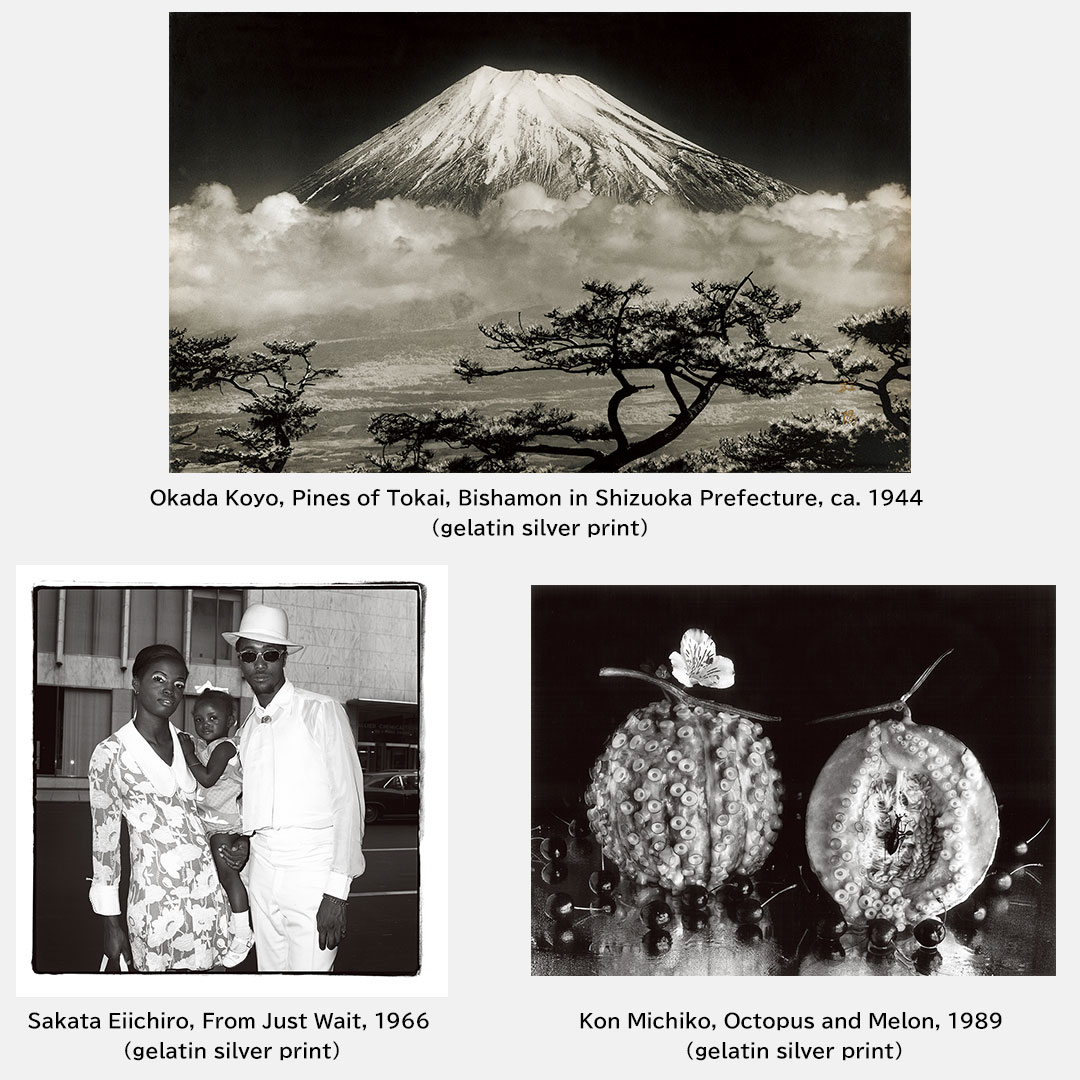 [image]FUJIFILM Photo Collection Special Exhibition: Part 2 The Crystallization of Photographic Expression and Technique