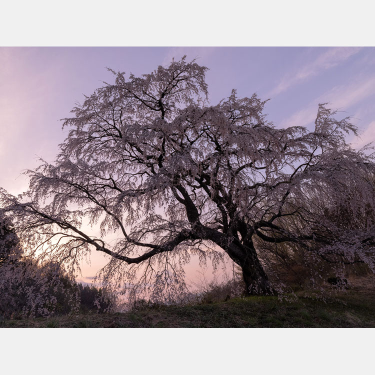 [image]日本風景写真協会関東5支部創立20周年記念写真展「四季の旋律」