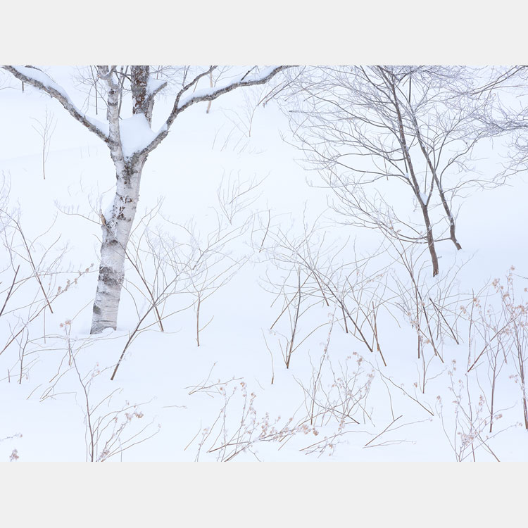 [image]故 萩原史郎トリビュート「淡きひかりのありか」