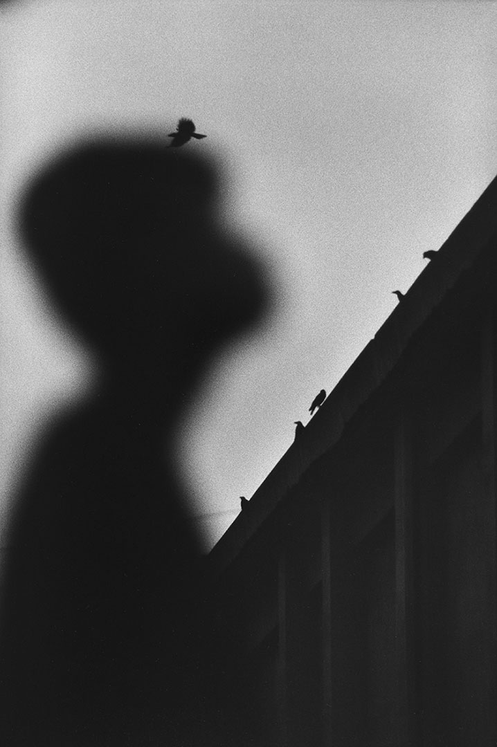 [image]Masahisa Fukase Photo Exhibition: Yoko / Homo Ludens