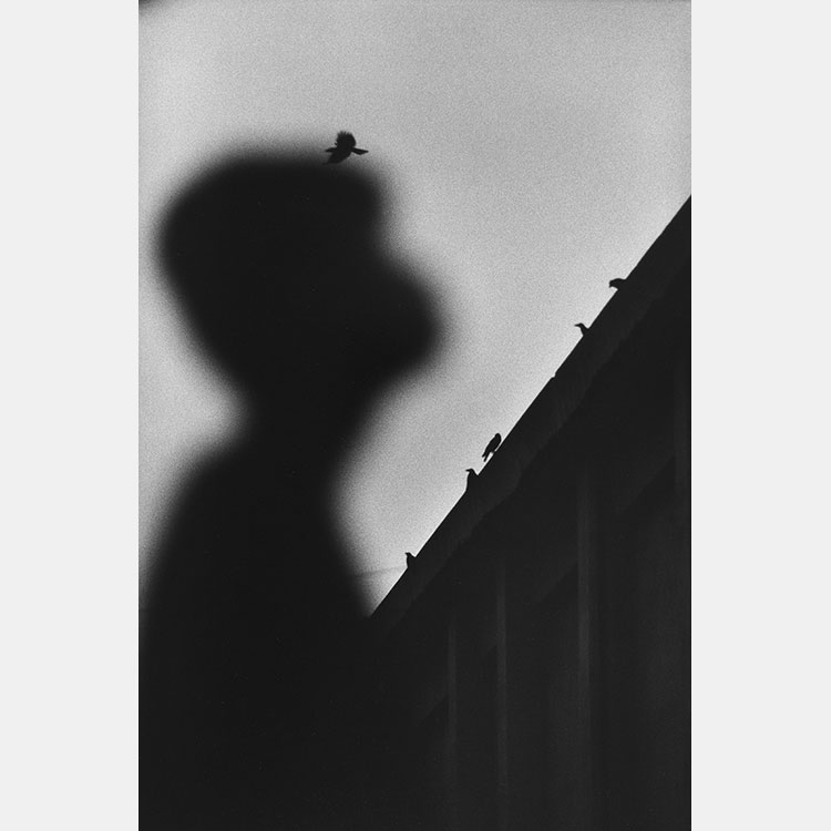 [image]Masahisa Fukase Photo Exhibition: Yoko / Homo Ludens