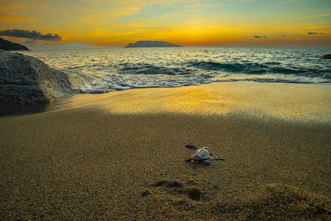 [image]鈴木一雄写真展「－にっぽん列島－ いのちの聲」