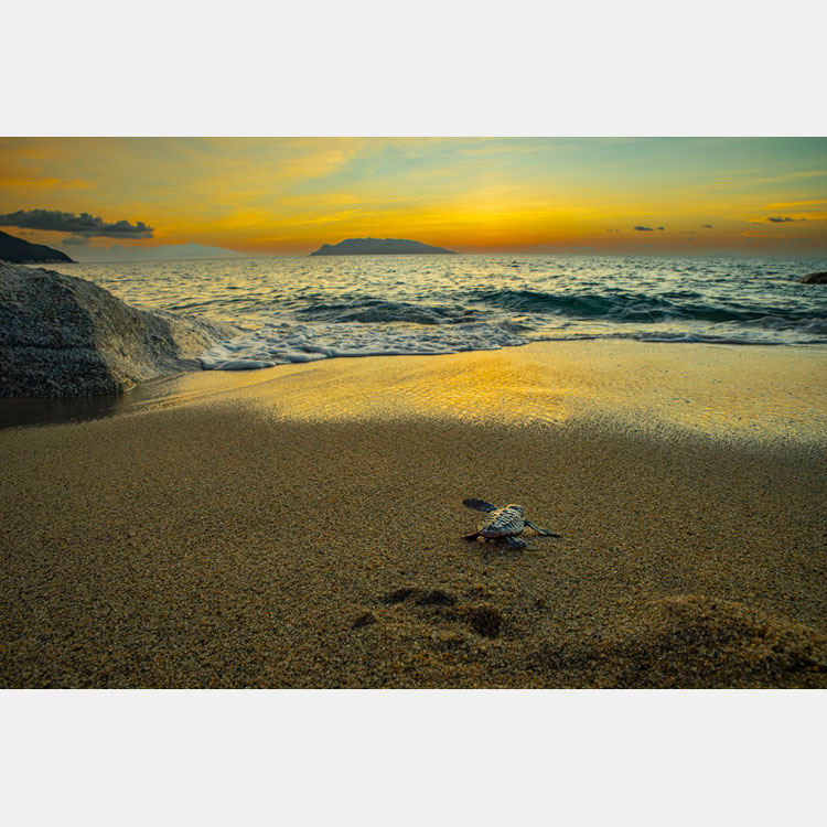 [image]鈴木一雄写真展「－にっぽん列島－ いのちの聲」