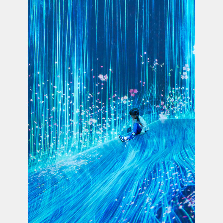 [image]「第17回 六本木フォトコンテスト写真展」 