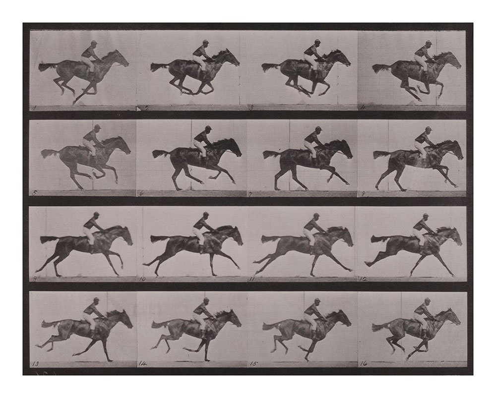[image]Animal Locomotion as the Origin of Moving Images Eadweard Muybridge: The Man Obsessed with Sequence Photography