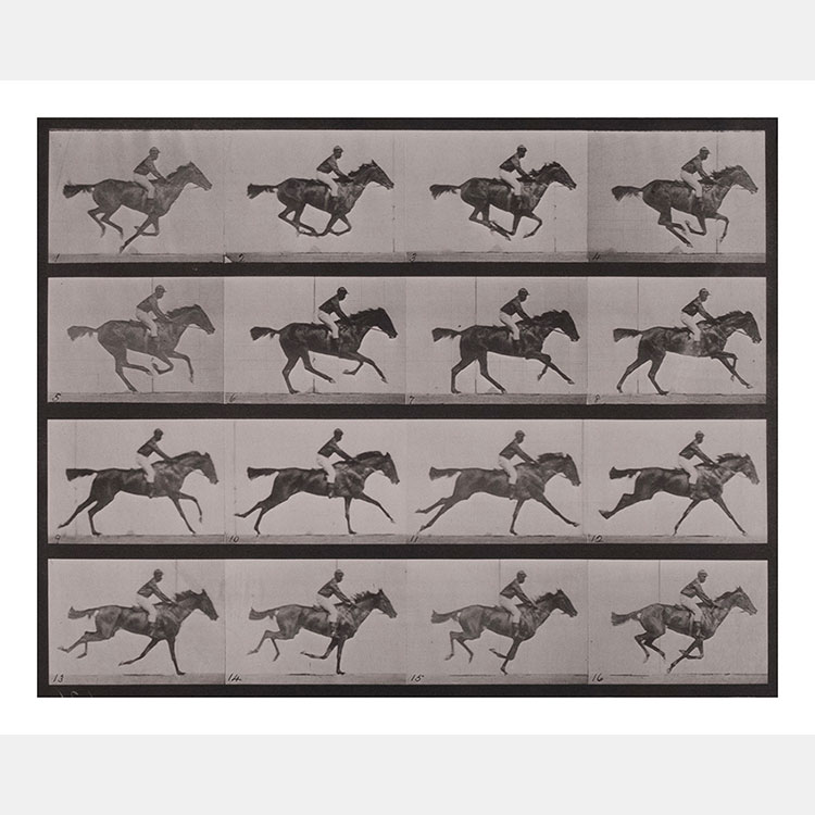 [image]Animal Locomotion as the Origin of Moving Images Eadweard Muybridge: The Man Obsessed with Sequence Photographys