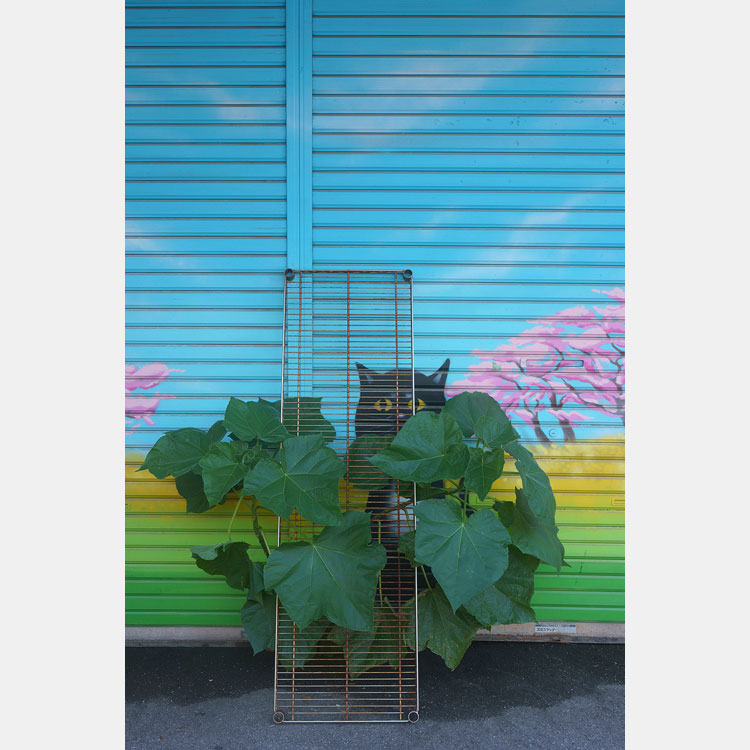 [image]写真集団ポップコーン写真展「東京余白」