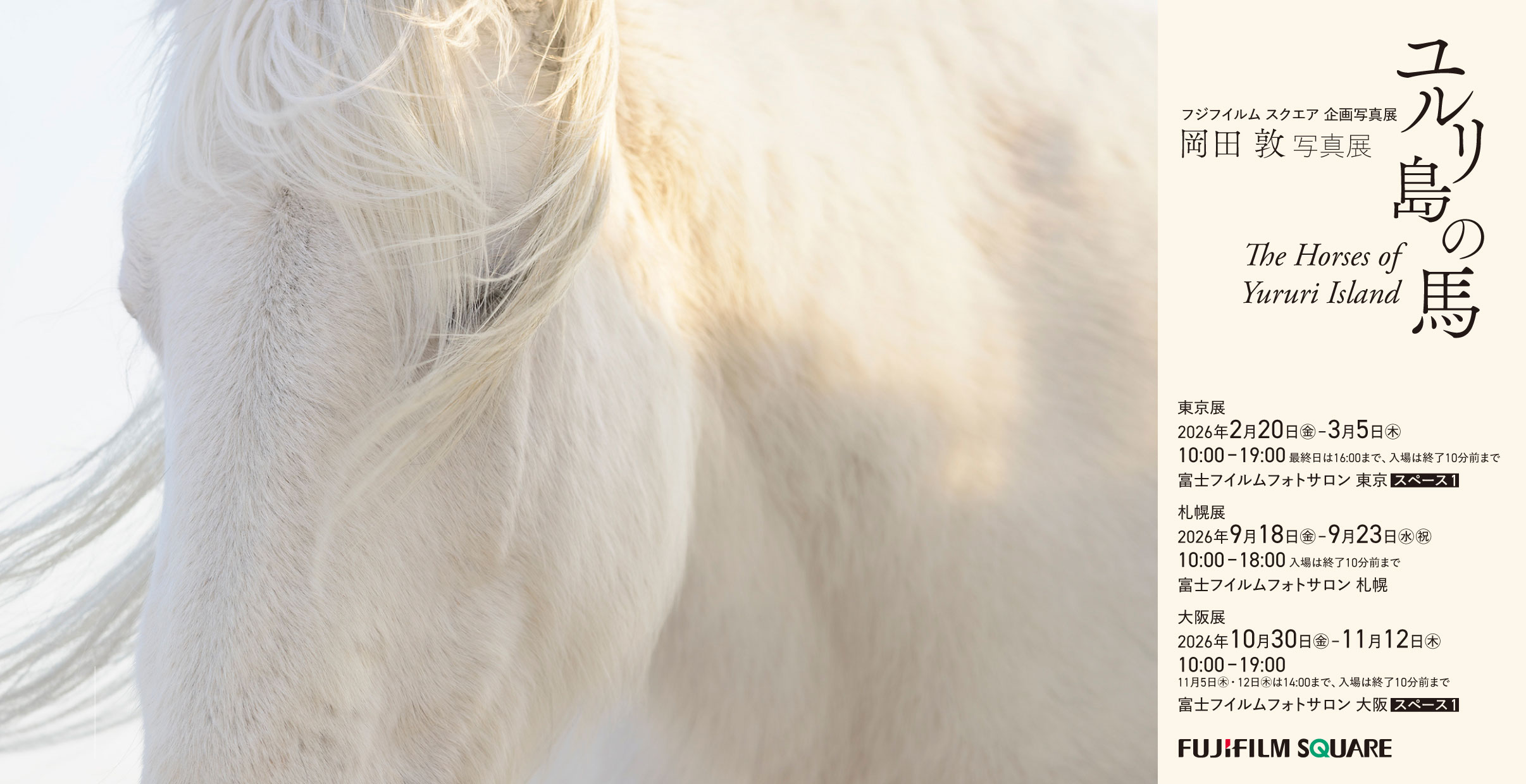 [Image]岡田 敦写真展「ユルリ島の馬」～The Horses of Yururi Island～
