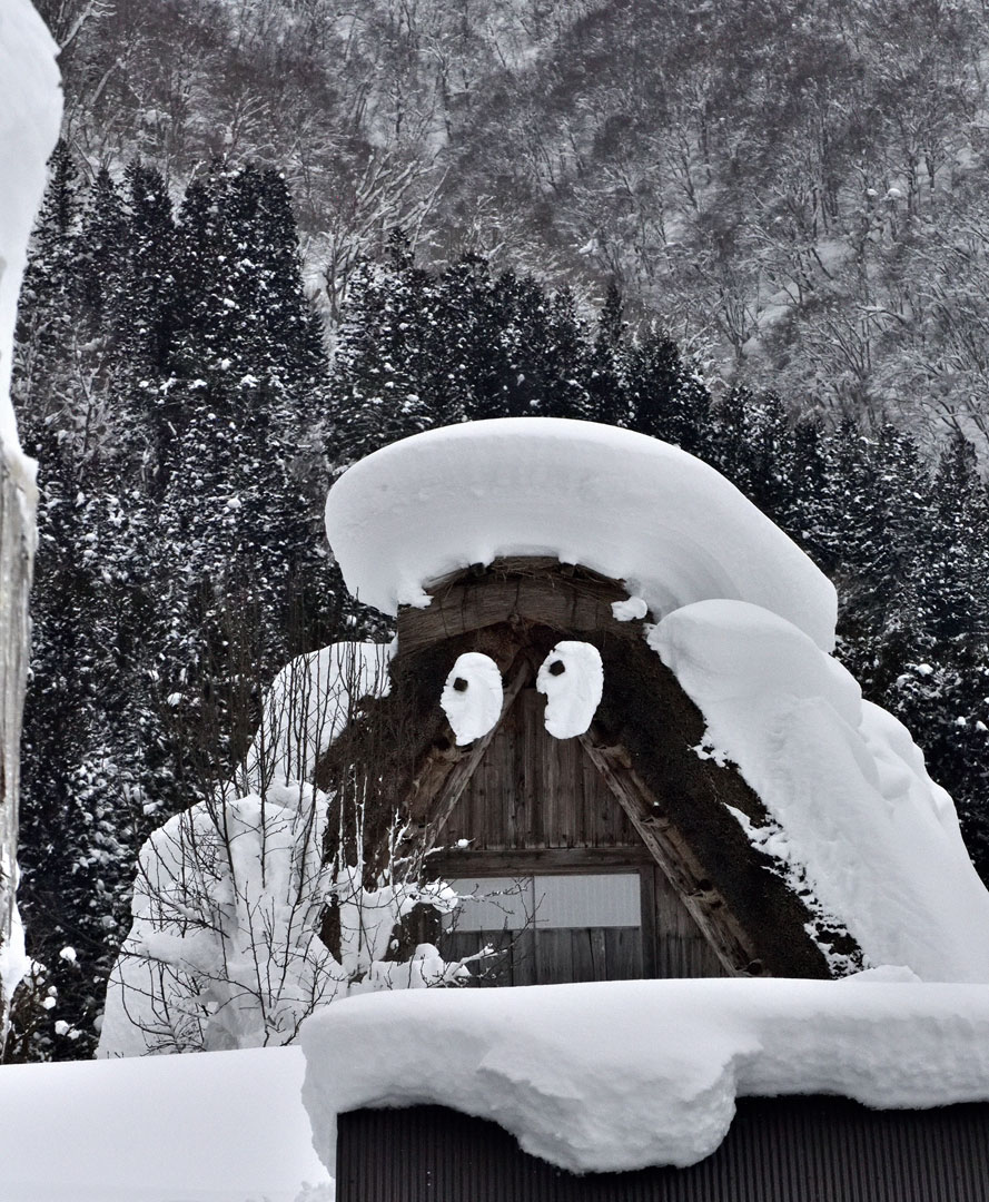 [Image]第47回 よみうり写真大賞 入賞作品発表展