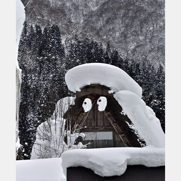 [Image]第47回 よみうり写真大賞 入賞作品発表展」