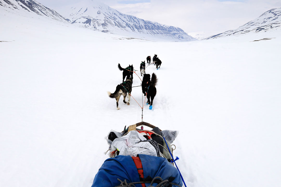 [Image]林 祐介写真展「Svalbard78°～」 ～北極圏犬橇350キロの旅～