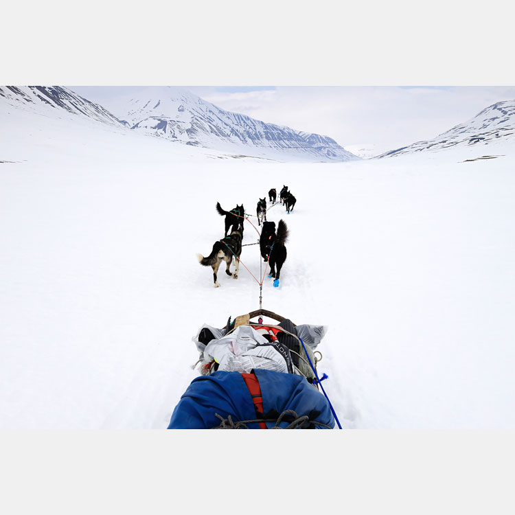 [Image]林 祐介写真展「Svalbard78°～」 ～北極圏犬橇350キロの旅～