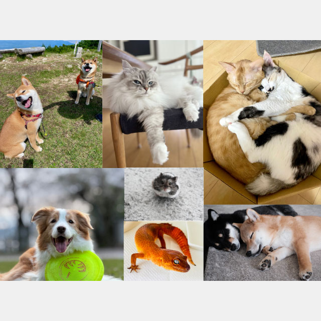 [Image]富士フイルムグループ「自慢のうちの子ペットフォトコンテスト2025」入賞作品展