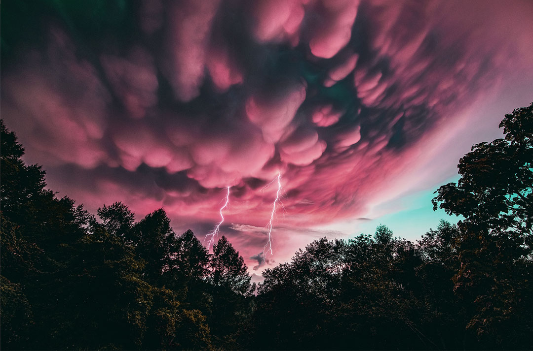 [Image]「第64回 富士フイルムフォトコンテスト」入賞作品発表展