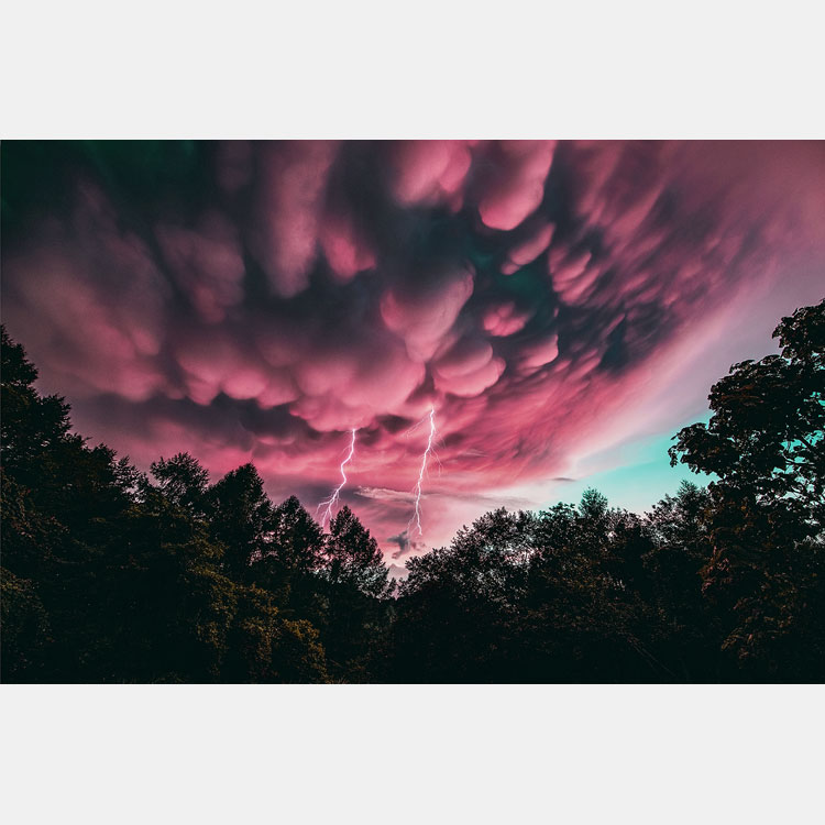 [Image]「第64回 富士フイルムフォトコンテスト」入賞作品発表展