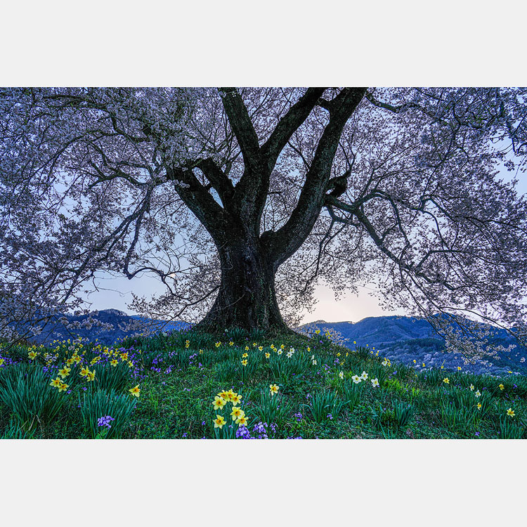 [Image]「風景写真上達法」