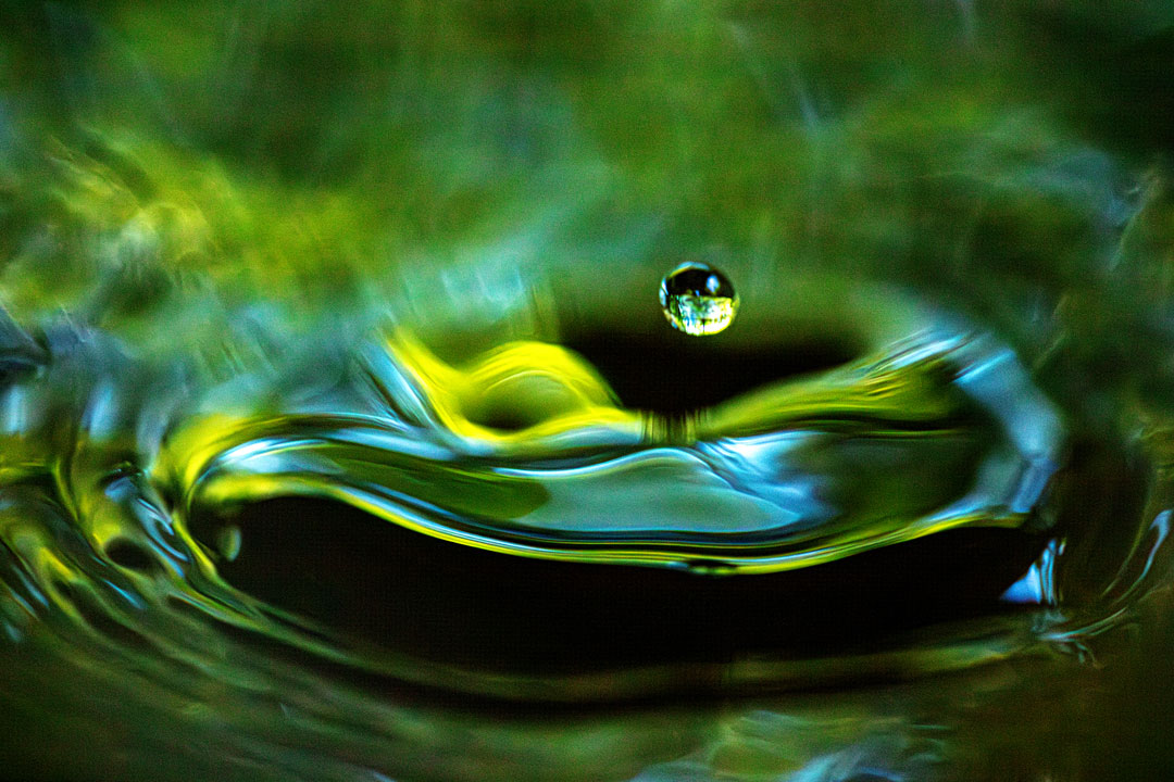 [Image]高橋宏和写真展「光のうた　Brilliance」