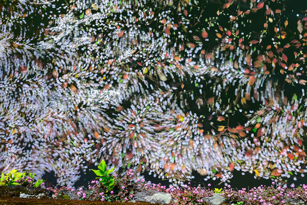 [Image]第9回 日本風景写真協会選抜展「四季のいろ」