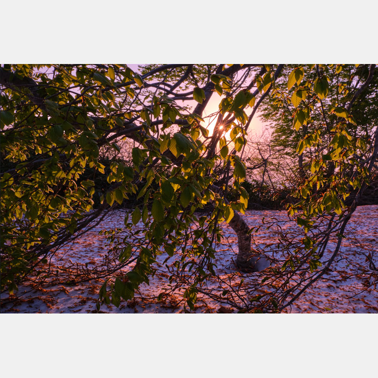 [Image]輝望フォトグラファーズ25周年記念写真展「想いを伝える風景」