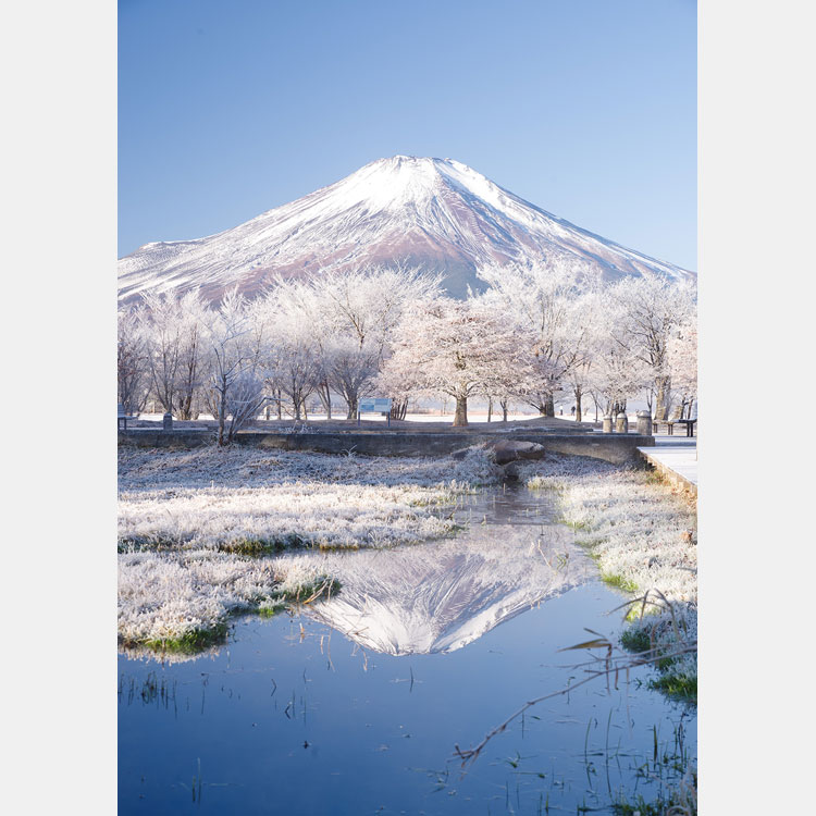 [Image]第19回 山中湖フォトグランプリ写真展