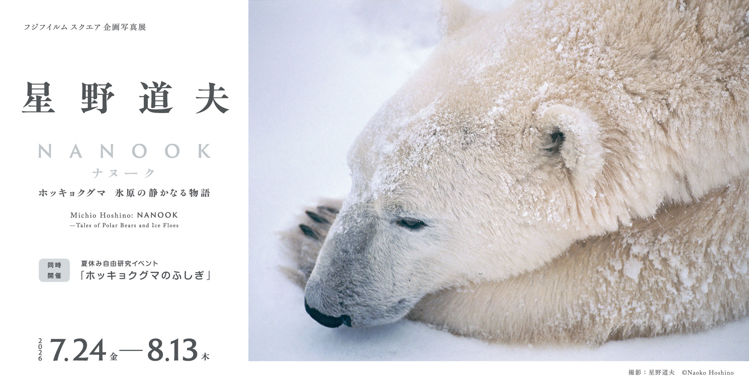 [Image]星野道夫写真展 ～NANOOK ホッキョクグマ 氷原の静かなる物語～