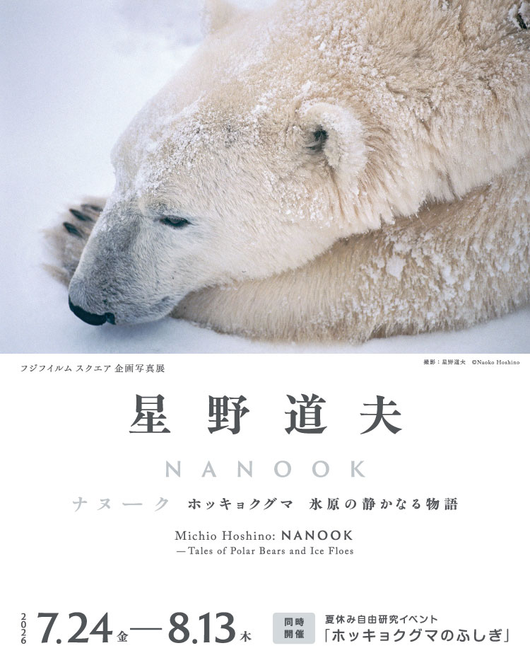 [Image]星野道夫写真展 ～NANOOK ホッキョクグマ 氷原の静かなる物語～