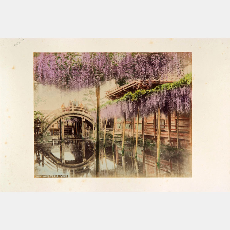 [image]Photographs of the Late Edo / Early Meiji Period