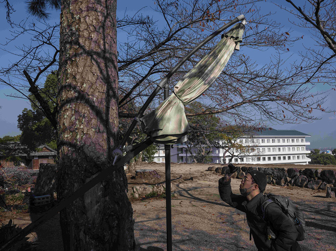 [image]付 超 「路傍のタニシ」