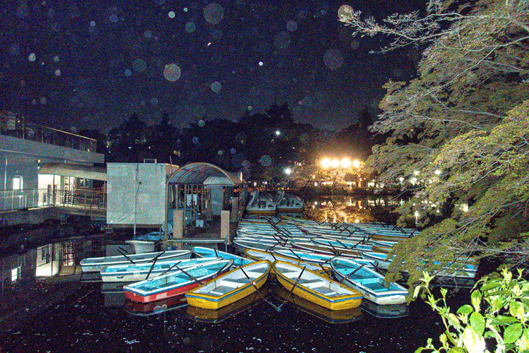 [image]藤田 エイミ「合わない靴で来ちゃったみたい」