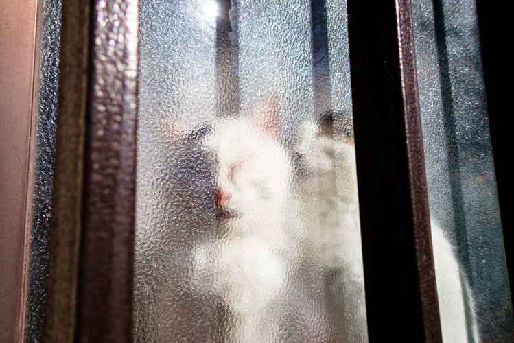 [image]藤田 エイミ「合わない靴で来ちゃったみたい」