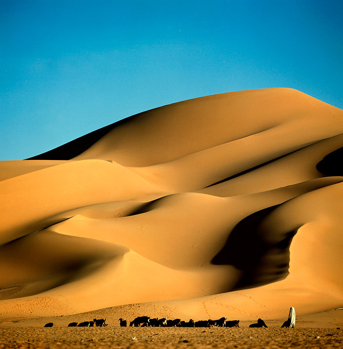 [image]砂丘の麓の放牧　サハラ砂漠 ©野町 和嘉