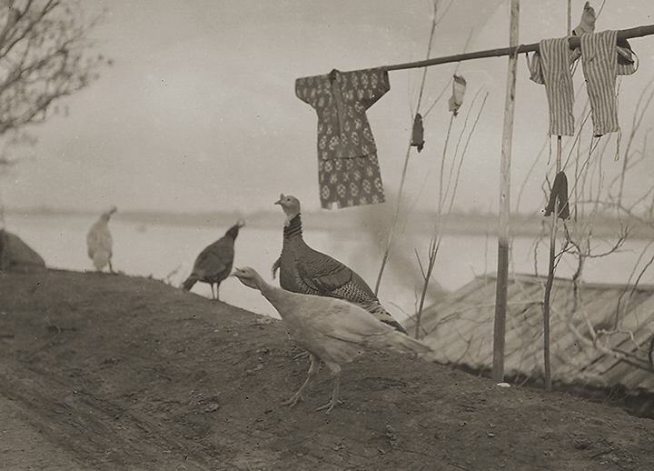 [image]《河畔の暮》 1920年代初期 撮影地不詳 撮影：下村兼史　所蔵：（公財）山階鳥類研究所 ※展示作品は複製