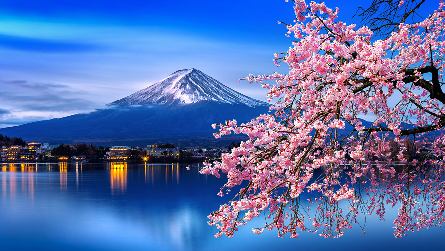 [image]観光スポットから見る富士山と桜