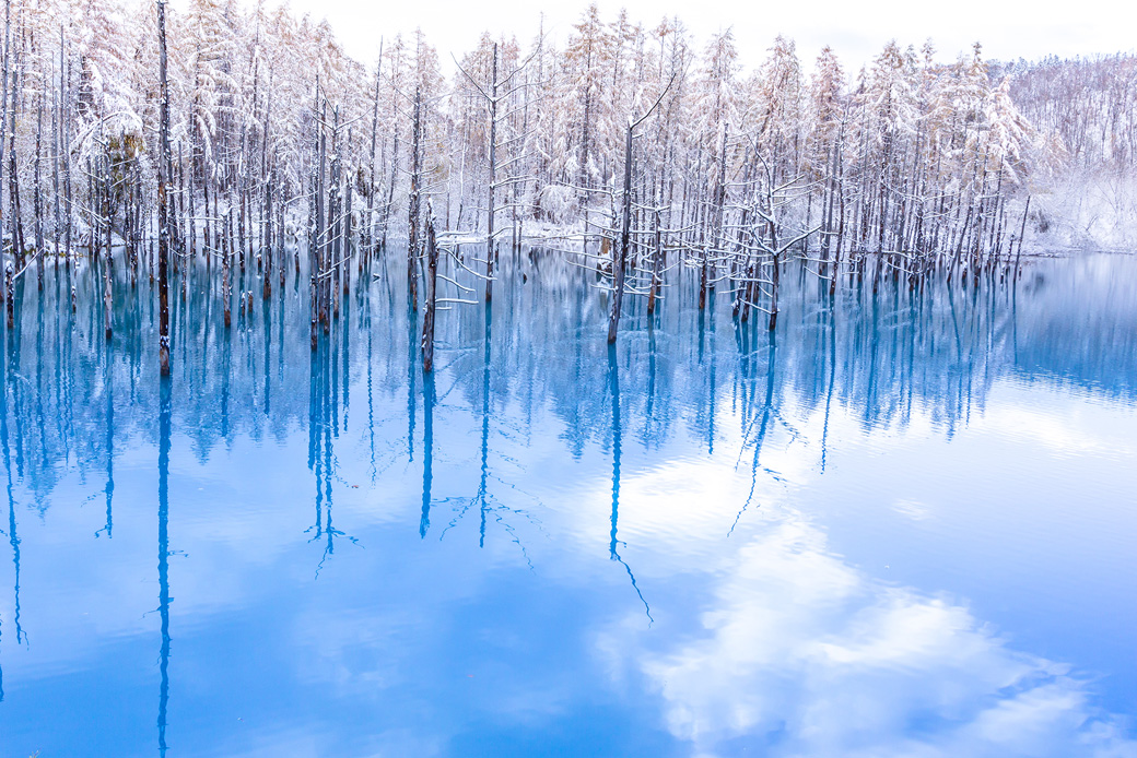 [image]雪と青い池
